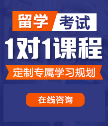 日吊啊啊啊逼污18留学考试一对一精品课